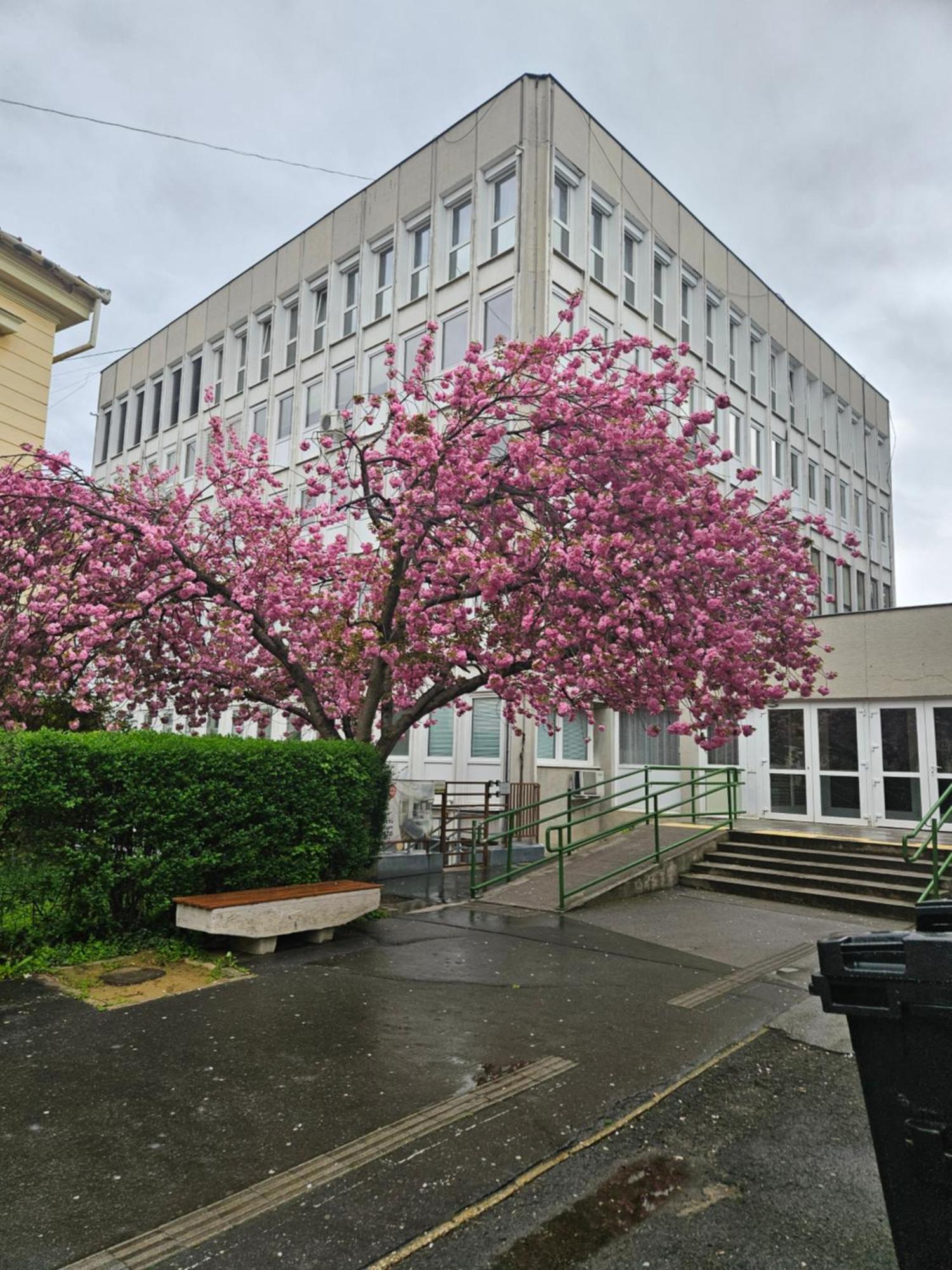 Hellowine Apartman Eger Exteriér fotografie